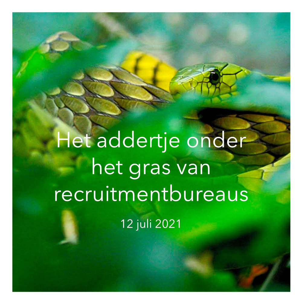 BLOG Het addertje onder het gras van recruitmentbureas