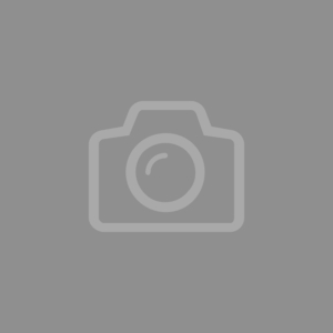 TNNL Grijs Carrousel 1